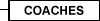 CAMP COACHES